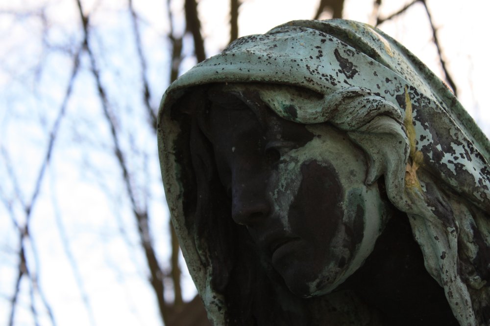 splash.image|lachaise